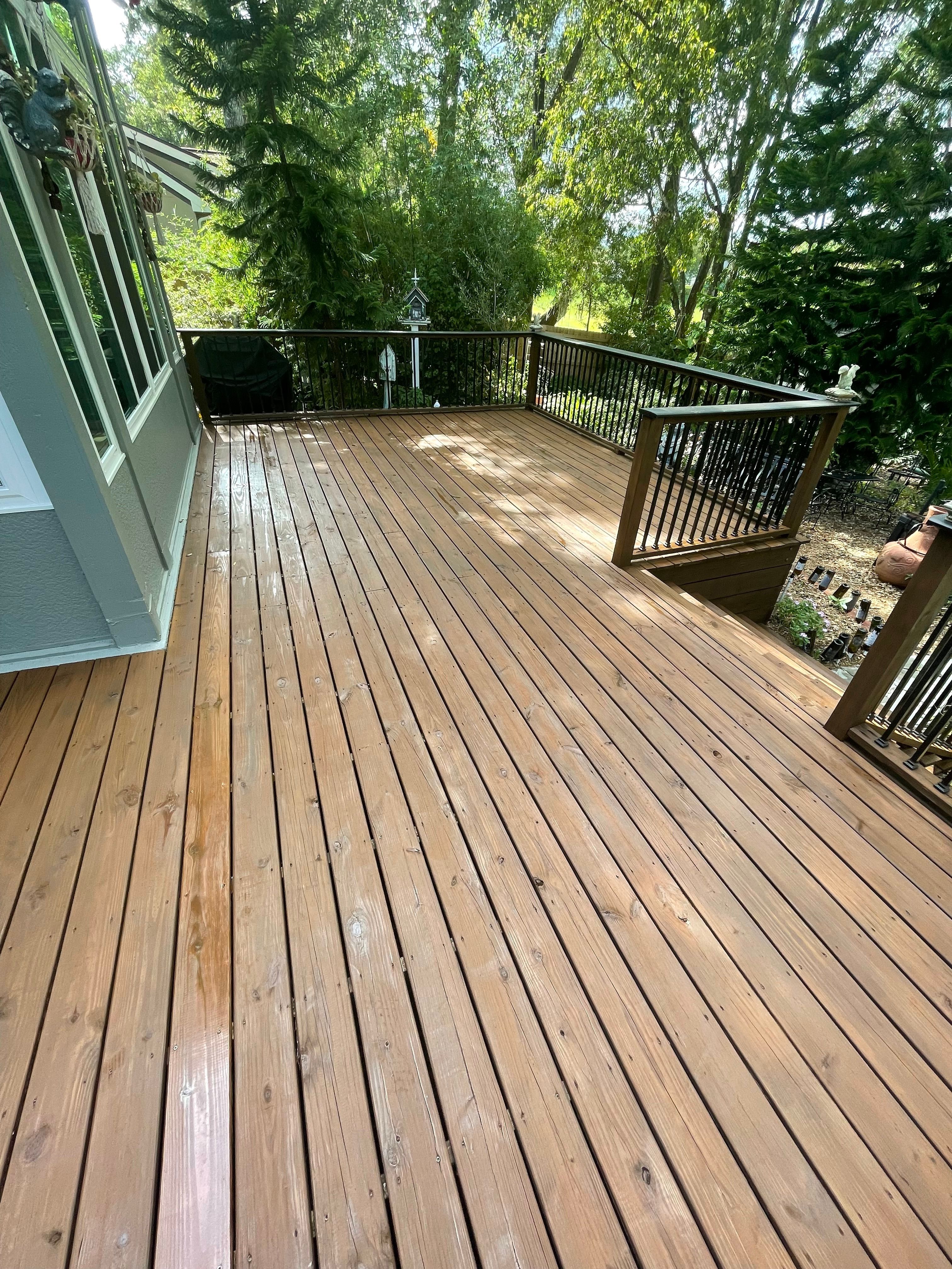 Staining different types of wood